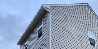 Best Siding Painting and Refinishing  in , IA